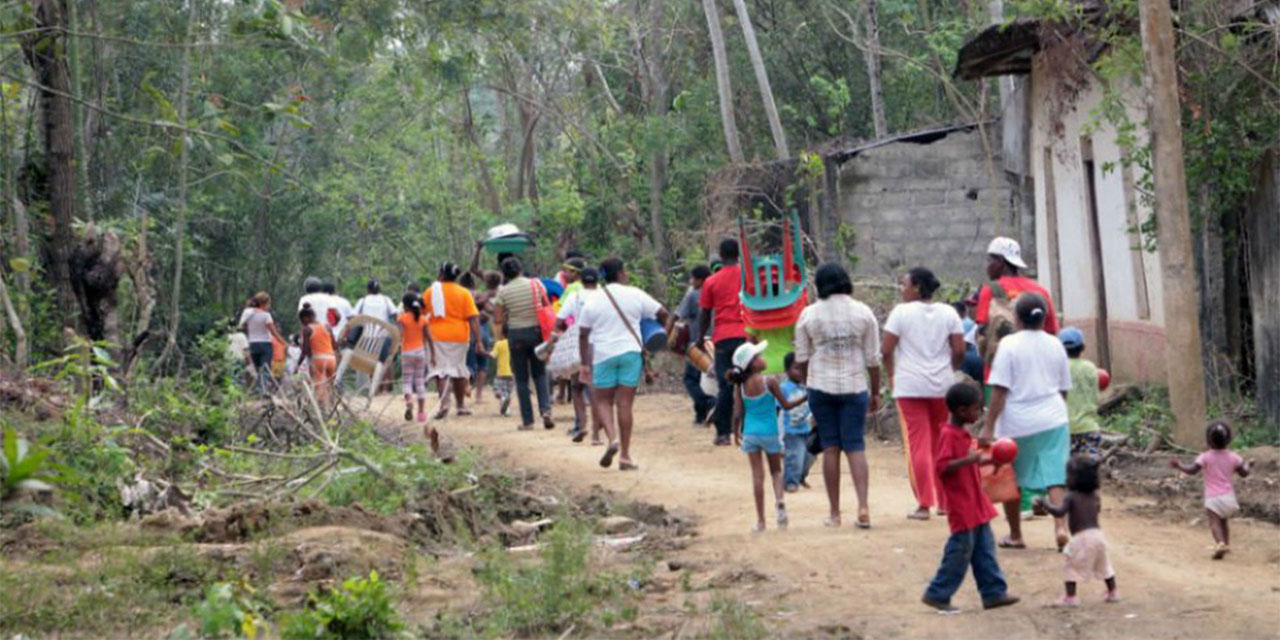 Colombia’s Internally Displaced: Out of Tercer Milenio Park, Problems Remain